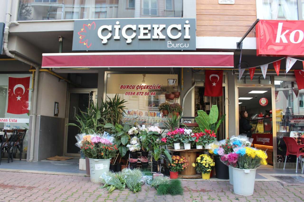 Menteşe’de Kokina Çiçeğine Talep Artıyor: Yeni Yıla Doğru İlgi Zirvede 1